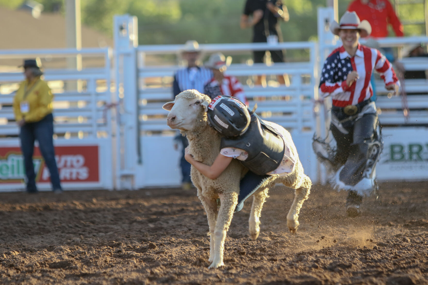 Mutton bustin